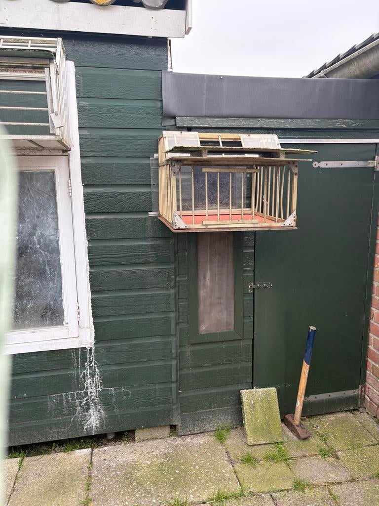 Duivenhokken, Ophalen of Verzenden, Gebruikt, Hout, Overige typen