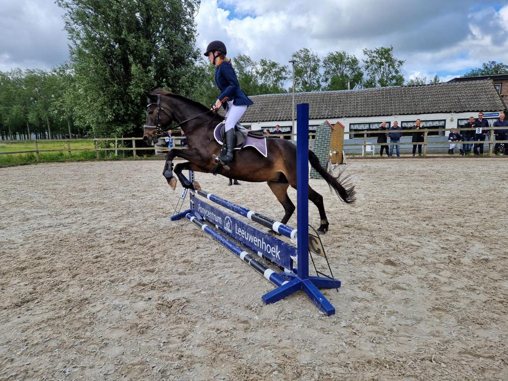 Bijrijder aangeboden, bijrijdpaard gezocht