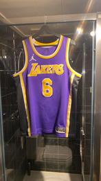 Nike nba jersey LA lakers 6 james maat L, Sport en Fitness, Basketbal, Ophalen of Verzenden, Zo goed als nieuw, Kleding