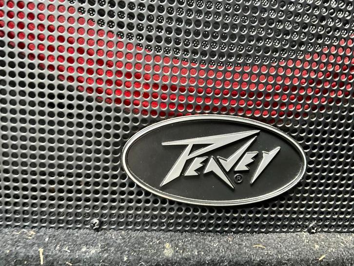 Peavey ST-15 Luidsprekers (2 stuks), Audio, Tv en Foto, Luidsprekers, Gebruikt, Front, Rear of Stereo speakers, 120 watt of meer