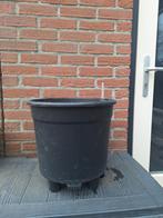 Elho selfwatering binnenpot diameter 36 cm hydrocultuur, Ophalen of Verzenden, Halfschaduw, Minder dan 100 cm