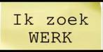 Zwart werk/werk gezocht omgeving dordrecht, Vacatures, Profielen | Man/Vrouw zoekt werk, Rijbewijs B, Tot en met 24 uur, Overige branches