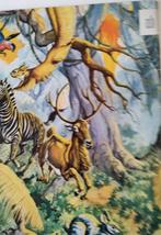 Plaatjesboek: De Wondere Wereld der Dieren - Boerenleenbank, Ophalen of Verzenden, Gelezen, Boerenleenbank, Plaatjesalbum