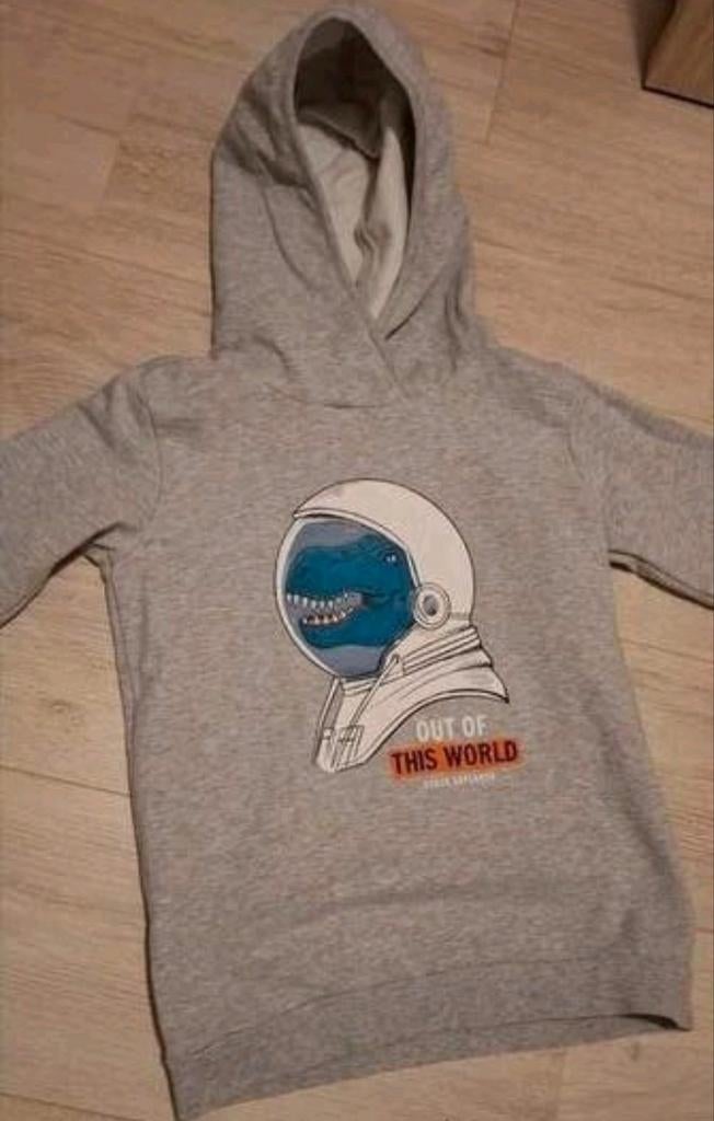 Sweater met capuchon maat 134, Ophalen of Verzenden, Zo goed als nieuw, Overige maten