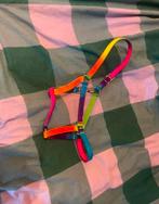 Pony halster, Ophalen of Verzenden, Nieuw, Recreatie