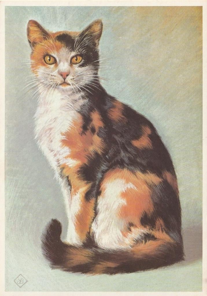 POES ONTW. KO VAN DEN BROECKE JAREN 60 ZEER MOOI KAART Kl584, Verzenden, 1960 tot 1980, Ongelopen