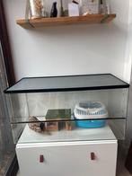 Glazen hamster terrarium kooi hok 100x50x50 + accessoires, Gebruikt, 75 tot 110 cm, Ophalen, Minder dan 60 cm