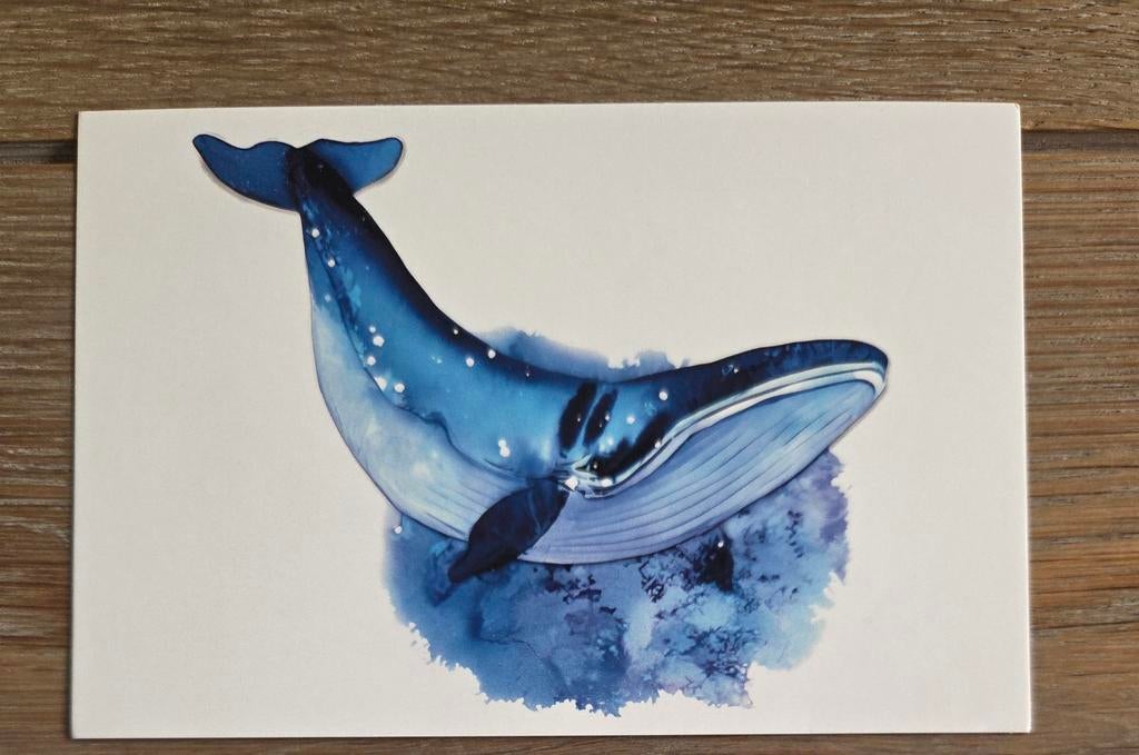 POTVIS 2 meerdere beschikbaar, Verzamelen, Ophalen, 1980 tot heden, Hond of Kat