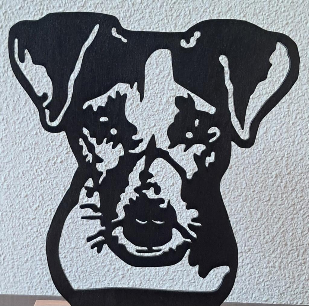 Jack russell, Ophalen of Verzenden