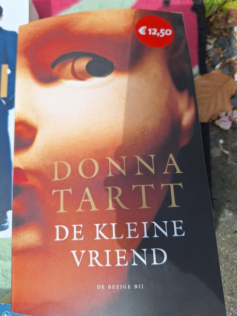 De Kleine Vriend - Donna Tartt (Boek), Ophalen of Verzenden, Gelezen, Donna Tartt, Nederland
