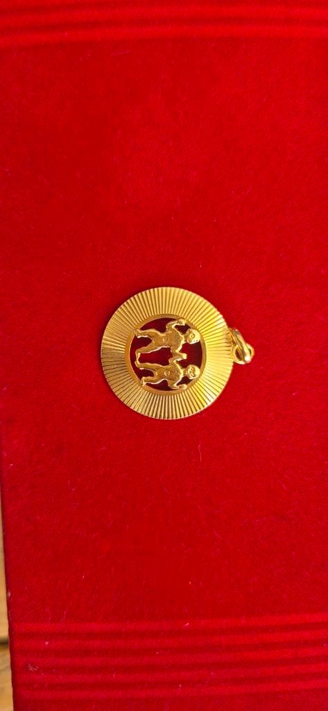 Sterrenbeeld kettinghanger, Sieraden, Tassen en Uiterlijk, Ophalen of Verzenden, Zo goed als nieuw, Goud, Goud