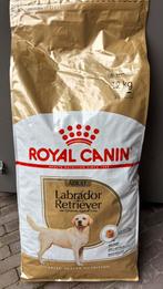 hondenvoer, Ophalen, Hond