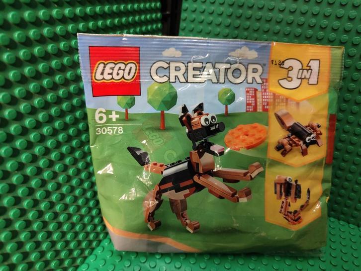 Diverse soorten polybags nieuw, Kinderen en Baby's, Speelgoed | Duplo en Lego, Nieuw, Ophalen of Verzenden