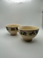 Ter Steege Rijssen 'The Original World of Jet' kommen, Ophalen of Verzenden