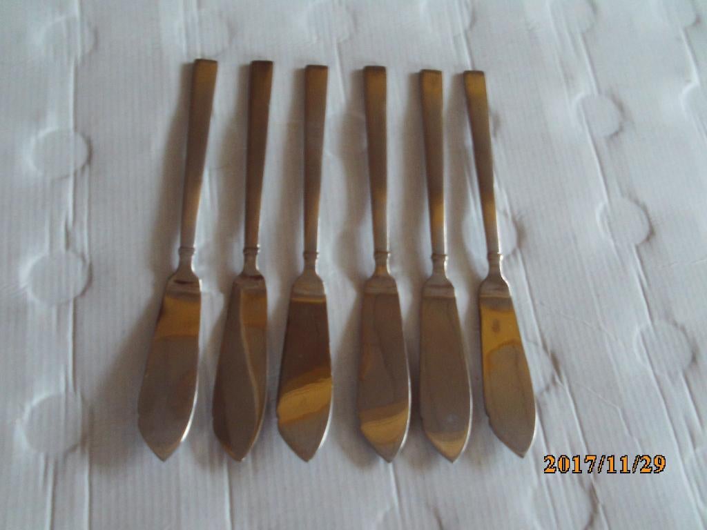 sola elite carmen 18/10 visbestek + patémes???, Ophalen of Verzenden, Gebruikt, Rvs of Chroom