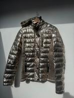 Superdry jas, Ophalen of Verzenden, Nieuw, Maat 38/40 (M), Roze