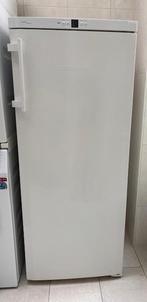 Aangeboden Liebherr vriezer met 6 laden, Gebruikt, Minder dan 60 cm, Energieklasse A of zuiniger, 140 tot 160 cm