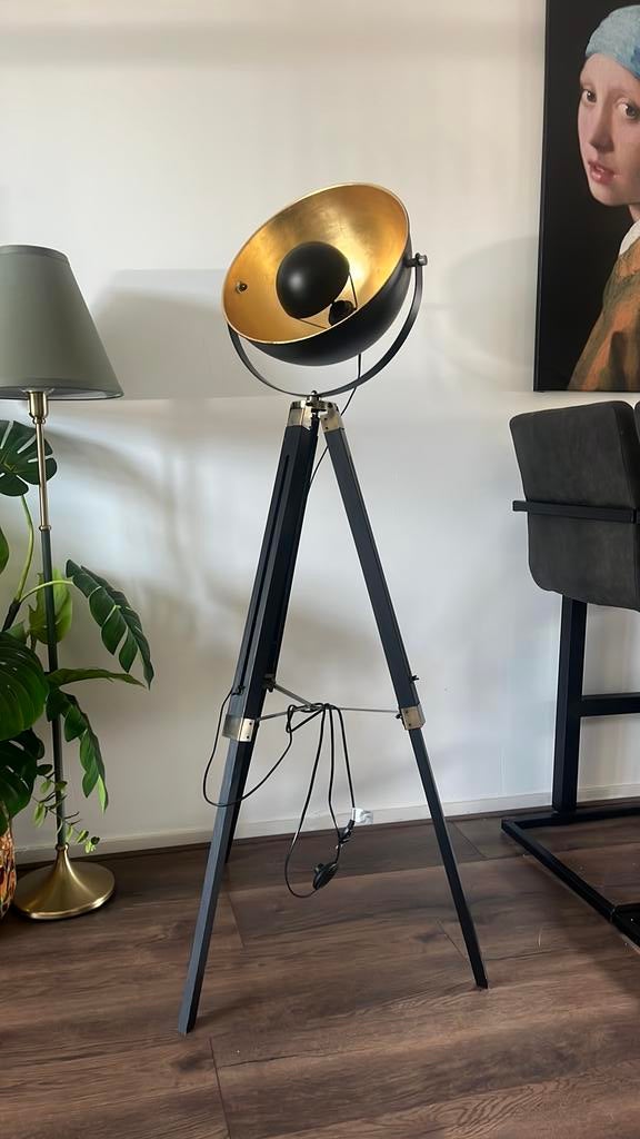 Sta lamp, Ophalen, Zo goed als nieuw, 150 tot 200 cm