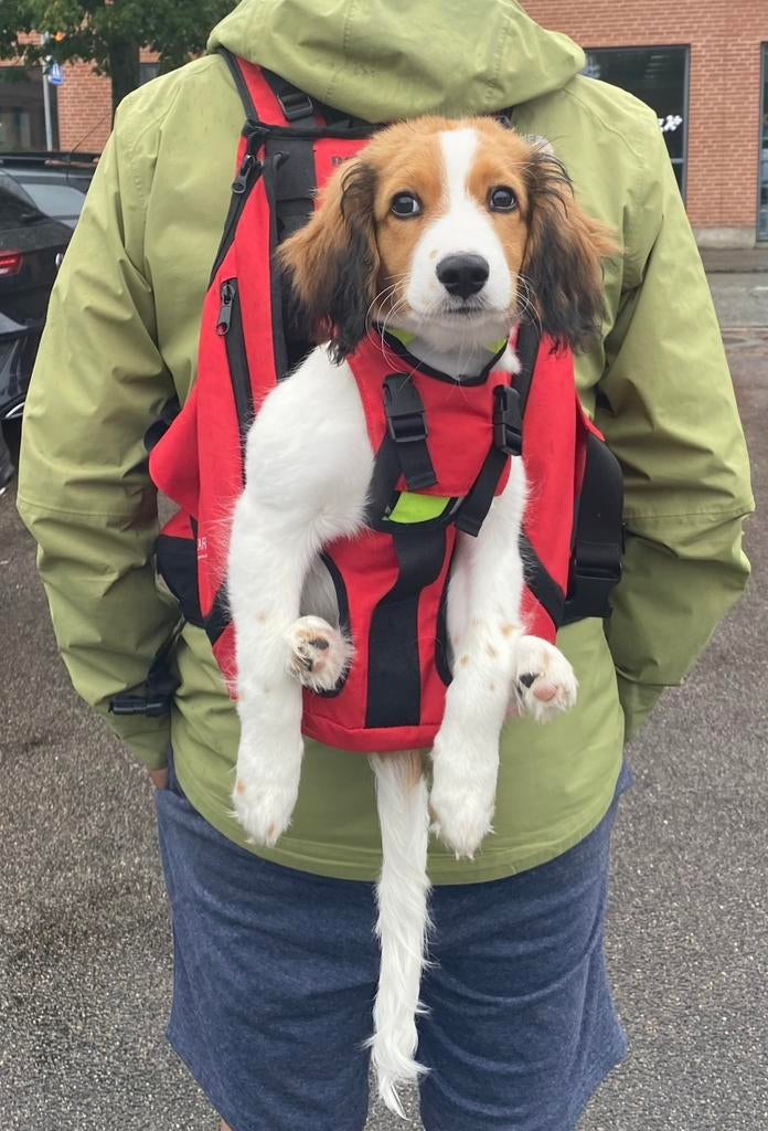 Dog carrier, Ophalen of Verzenden, Zo goed als nieuw
