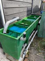 Comp. set  (Meerkamer koi filter 240x60x70 lxbxh) en meer!, Tuin en Terras, Vijver-toebehoren, Ophalen, Gebruikt, Vijverfilter