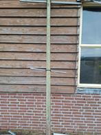 Betonpalen, Ophalen of Verzenden, Volle zon, Overige soorten