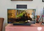 Disign aquarium Fluval edge 23l, Dieren en Toebehoren, Vissen | Aquaria en Toebehoren, Ophalen, Zo goed als nieuw, Gevuld zoetwateraquarium