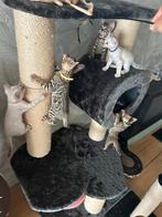 4 raszuivere prachtige, lieve bengaal kittens te koop, Dieren en Toebehoren, Katten en Kittens | Raskatten | Korthaar, Meerdere dieren