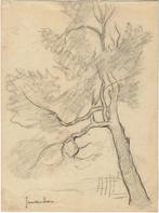 Jan van Essen krijttekening "Boom, schuinstaand", gesigneerd, Ophalen, Minder dan 50 cm, Gebruikt, Minder dan 50 cm
