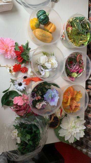 Pompoenen en knutselen  beschikbaar voor biedingen