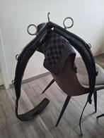 Longeersingel Lammert Haanstra, Dieren en Toebehoren, Ophalen of Verzenden, Gebruikt, Overige soorten