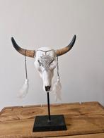 Kleine Schedel voor decoratie, Ophalen of Verzenden