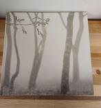 Forms of Japan - Michael Kenna - fotografie, Ophalen of Verzenden, Zo goed als nieuw, Fotografen, Michael Kenna