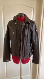 Nieuwe lederen jas gipsy maat m, Ophalen of Verzenden, Nieuw, Bruin