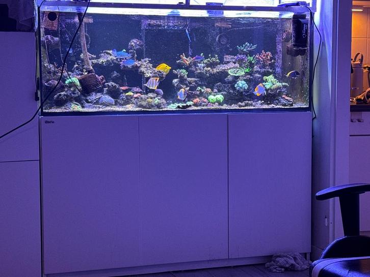 Redsea 525 XL aquarium zoutwater of zoetwater, Dieren en Toebehoren, Vissen | Aquaria en Toebehoren, Leeg aquarium, Ophalen