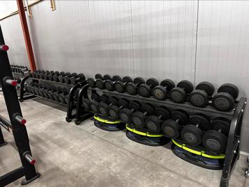 Technogym Dumbells 4 t/m 42kg + Technogym Dumbells Rekken  beschikbaar voor biedingen