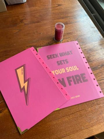 Daily Grind discbound planner cover met discs beschikbaar voor biedingen