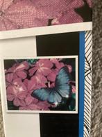 daimond painting, Ophalen of Verzenden, Nieuw, Knutselwerk