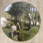 Schaap in Dekkersduin 70x70 cm muurcirkel forex, Huis en Inrichting, Woonaccessoires | Schilderijen, Tekeningen en Foto's, Nieuw