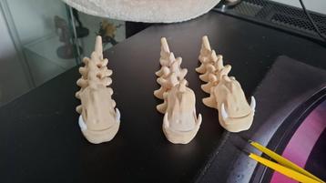 Skeletvis 3D print beschikbaar voor biedingen