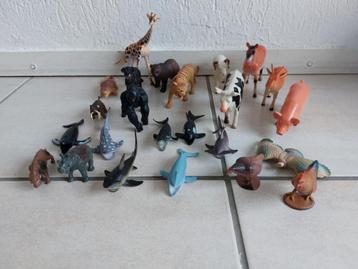 Diverse dierentuin en boerderij dieren beschikbaar voor biedingen