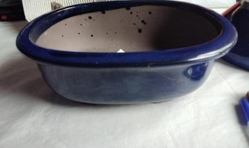 Bonsai Pot Groot Ovaal blauw geglazuurd 21x17x5,5cm  beschikbaar voor biedingen