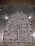 BALR Bodywarmer, Ophalen of Verzenden, Nieuw, Zwart