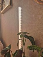 Luxe behang, Huis en Inrichting, Stoffering | Behang, Ophalen of Verzenden, Minder dan 10 m²
