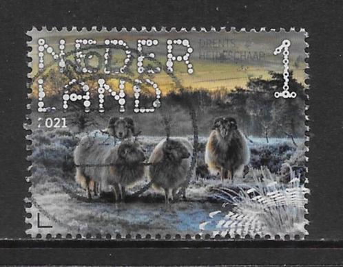2021, Dwingelderveld, Drents Heideschaap [3899] (K0913), Postzegels en Munten, Postzegels | Nederland, Ophalen of Verzenden