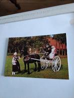 FRIESLAND. KLEDERDRACHT. 1980, Ophalen of Verzenden, Voor 1920, Friesland