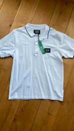 Zeeman skeer polo wit xl nieuw, Kleding | Heren, Ophalen of Verzenden, Nieuw, Maat 56/58 (XL), Wit
