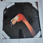 Muurcirkel Plexiglas Flamingo - 50cm, Ophalen of Verzenden, Nieuw