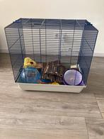 Hamster kooi / hok met toebehoren, Minder dan 75 cm, Minder dan 60 cm, Zo goed als nieuw, Hok