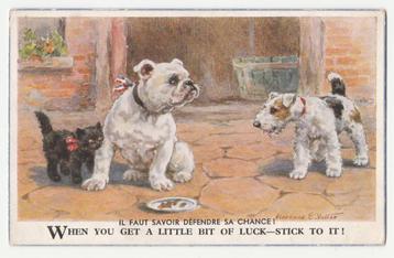 Honden.  Poezen.  Florence E. Valter.  Illustrateurs. beschikbaar voor biedingen