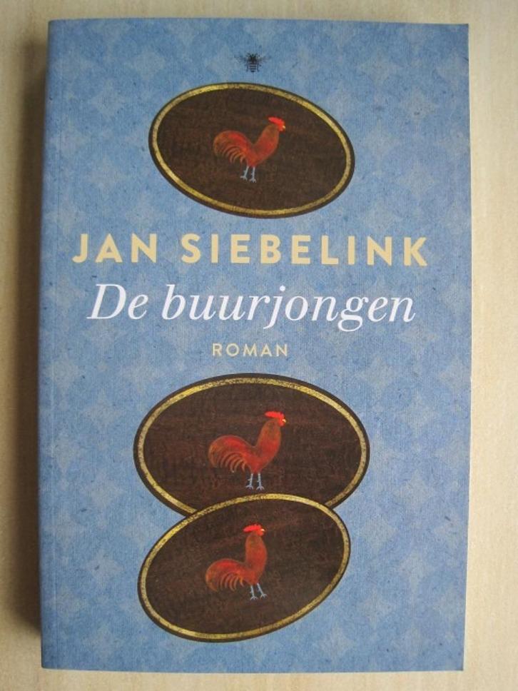 330 - De buurjongen - Jan Siebelink, Boeken, Romans, Zo goed als nieuw, Nederland, Verzenden